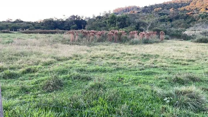 Chácara à venda de 3 ha em Taquara, RS, Brasil