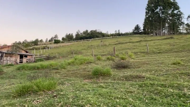 Chácara à venda de 3 ha em Taquara, RS, Brasil