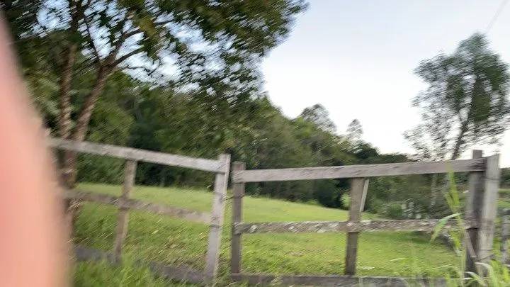 Chácara à venda de 3 ha em Taquara, RS, Brasil
