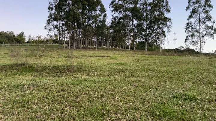 Chácara à venda de 3 ha em Taquara, RS, Brasil