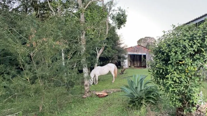 Chácara à venda de 3 ha em Taquara, RS, Brasil