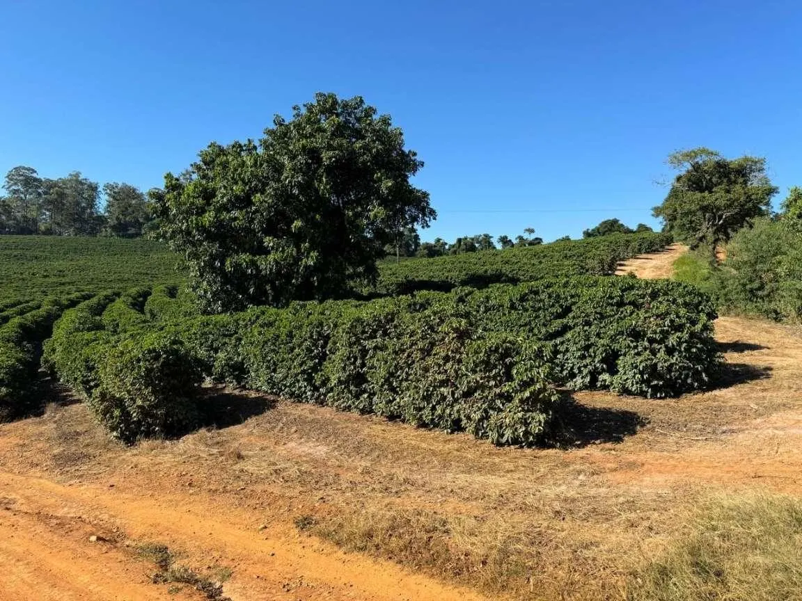 Fazenda à venda de 402 ha em Caconde, SP, Brasil