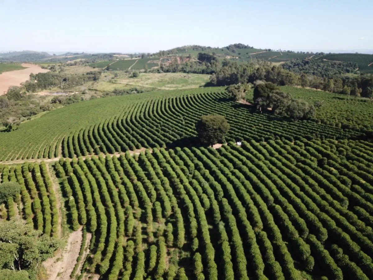 Fazenda à venda de 402 ha em Caconde, SP, Brasil
