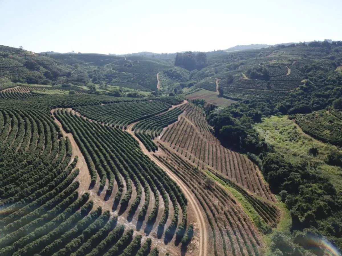 Fazenda à venda de 402 ha em Caconde, SP, Brasil