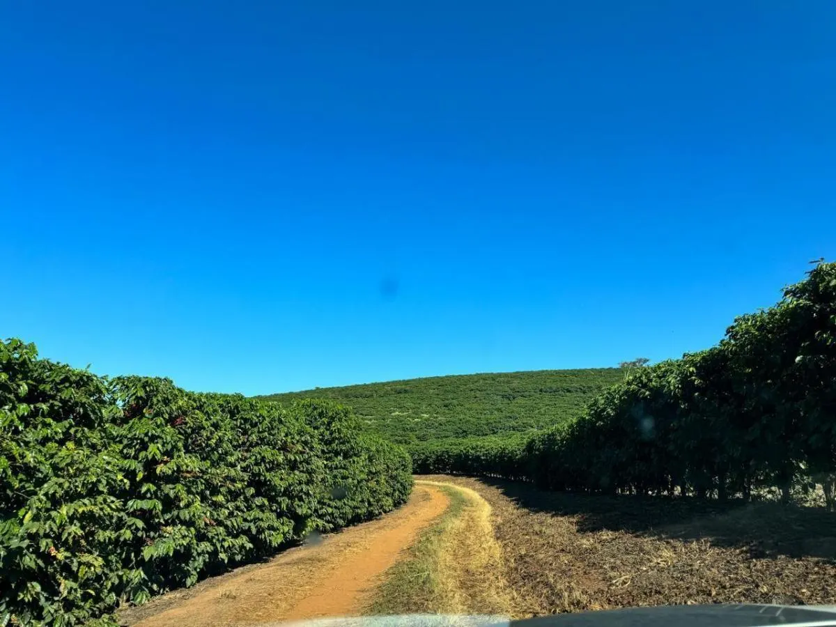 Fazenda à venda de 402 ha em Caconde, SP, Brasil