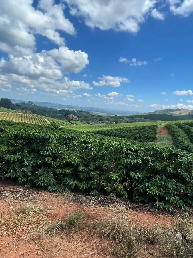Fazenda à venda de 402 ha em Caconde, SP, Brasil