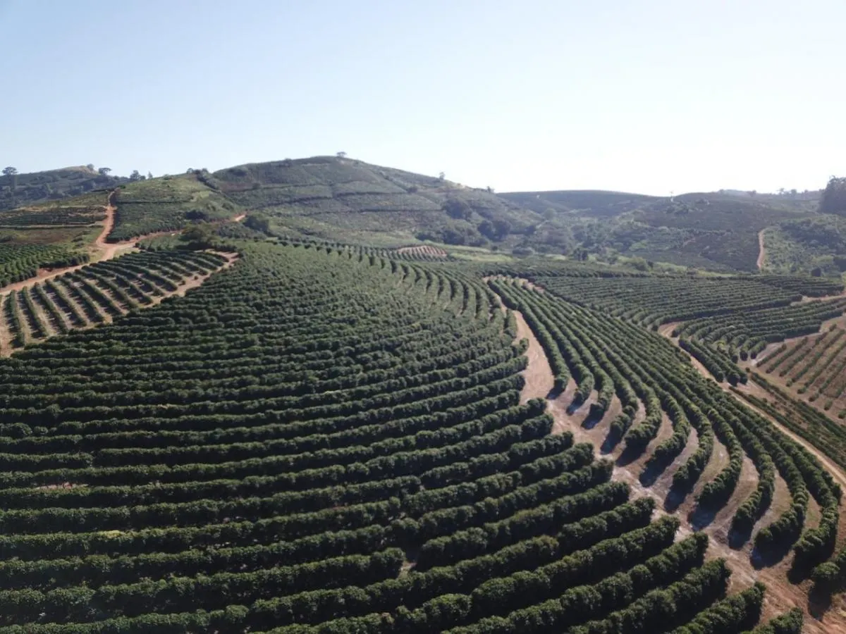 Fazenda à venda de 402 ha em Caconde, SP, Brasil