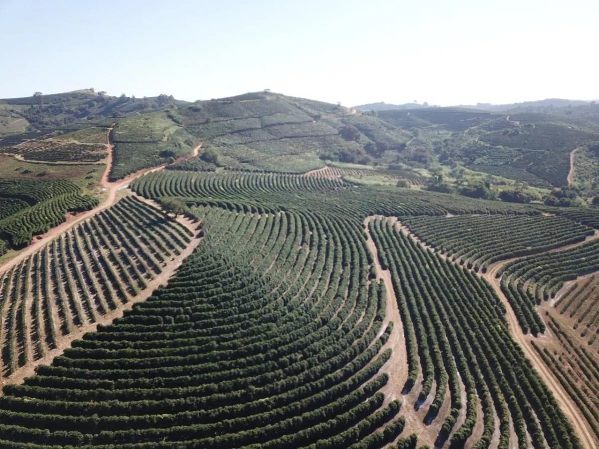 Fazenda à venda de 402 ha em Caconde, SP, Brasil