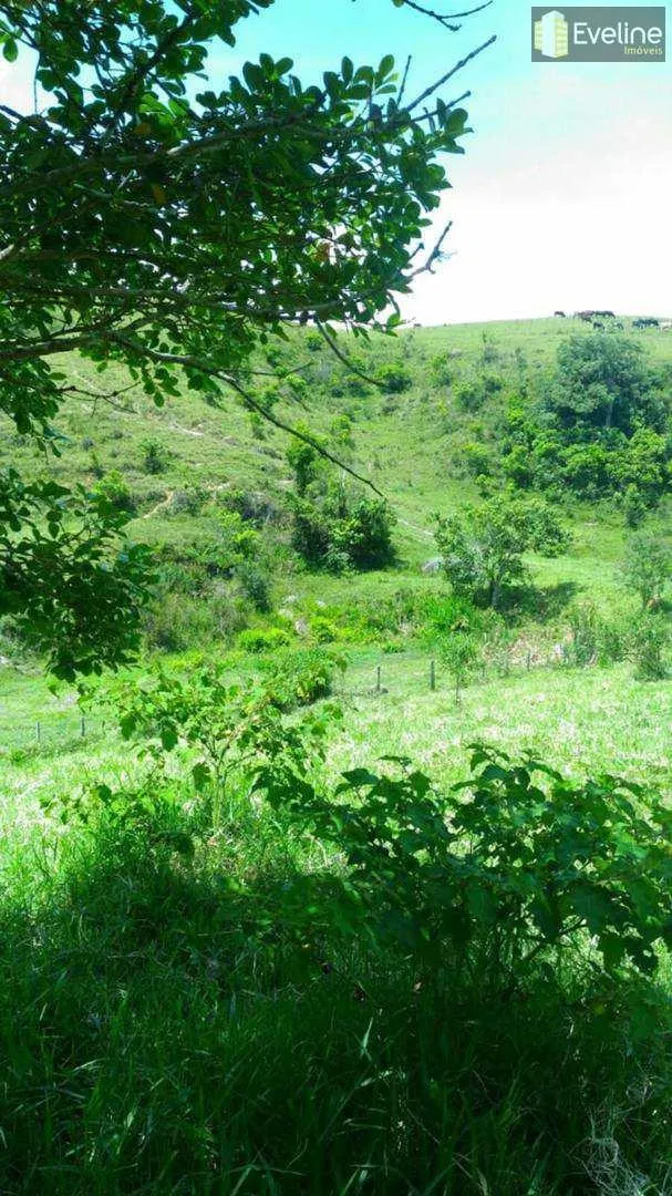Sítio à venda de 35 ha em Mogi das Cruzes, SP, Brasil