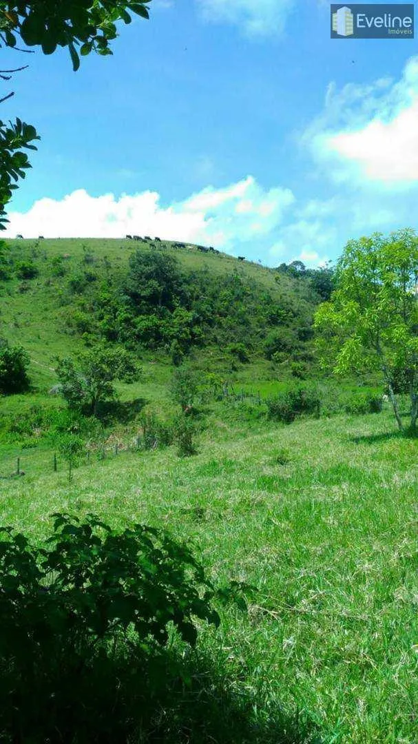 Sítio à venda de 35 ha em Mogi das Cruzes, SP, Brasil