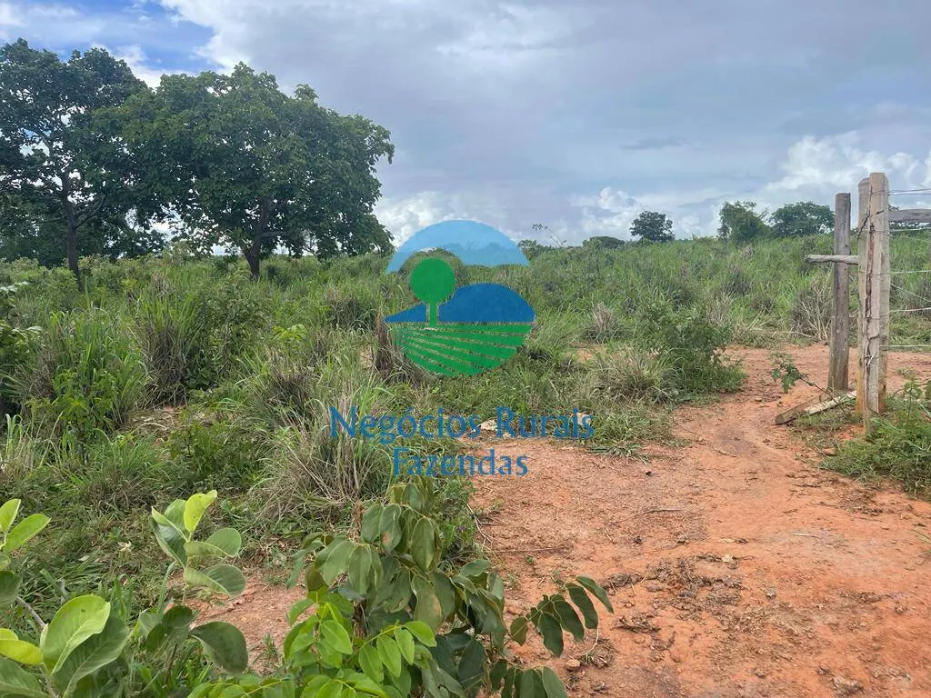 Fazenda à venda de 208 ha em Uruaçu, GO, Brasil