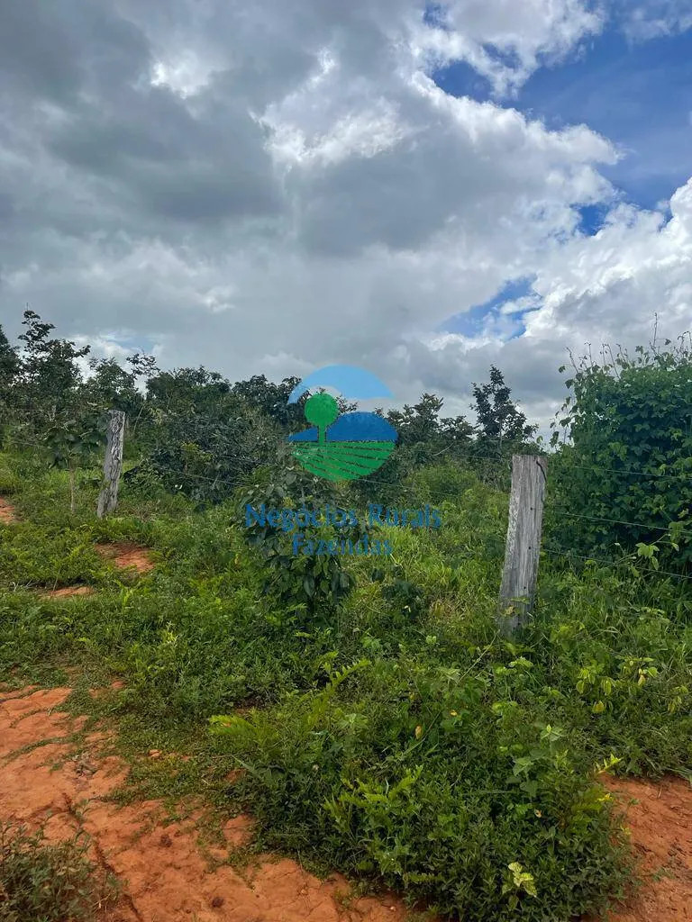 Fazenda à venda de 208 ha em Uruaçu, GO, Brasil