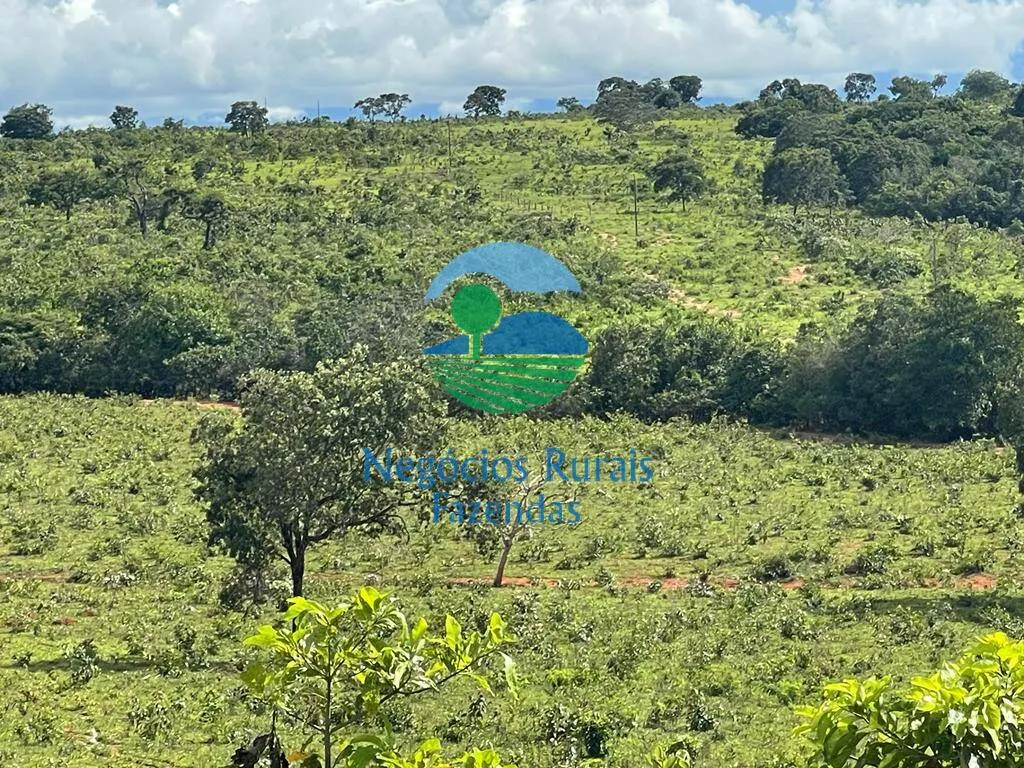 Fazenda à venda de 208 ha em Uruaçu, GO, Brasil