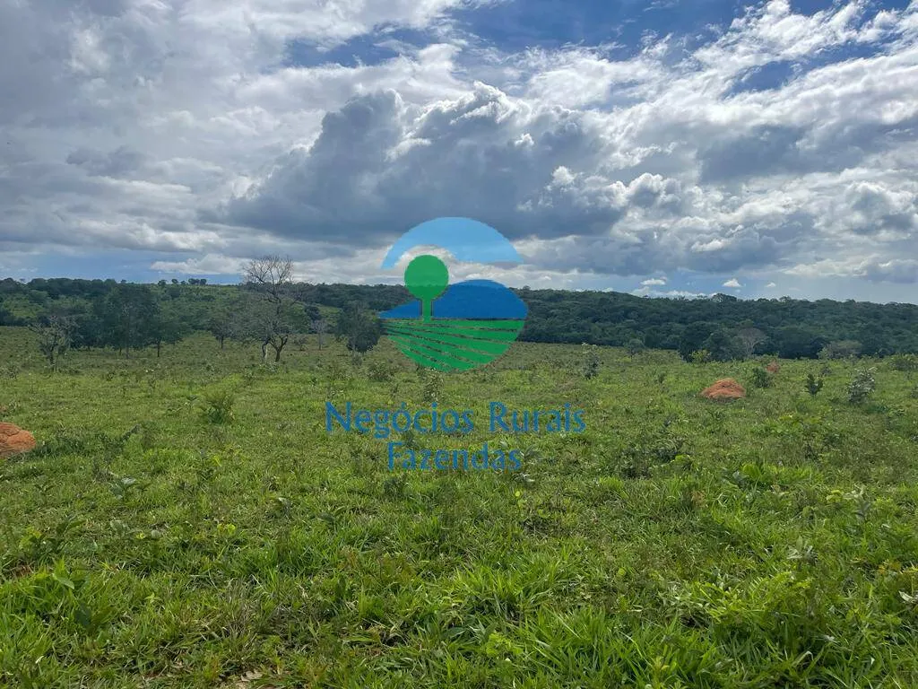Fazenda à venda de 208 ha em Uruaçu, GO, Brasil