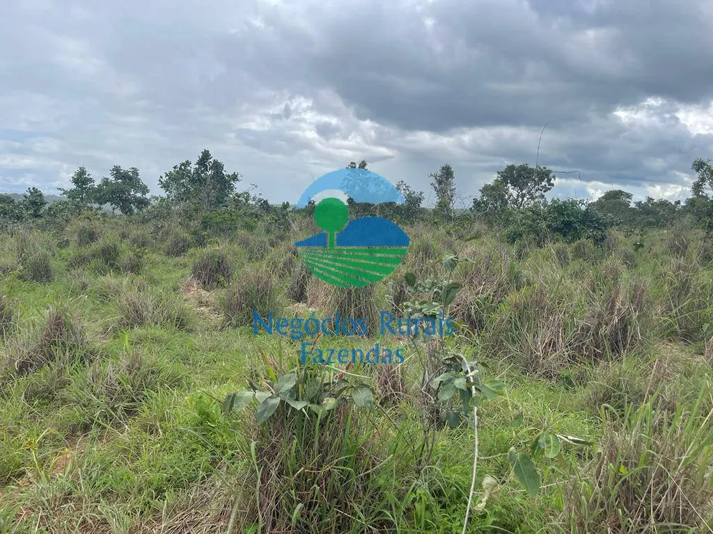 Fazenda à venda de 208 ha em Uruaçu, GO, Brasil