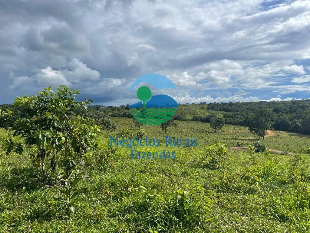 Fazenda à venda de 208 ha em Uruaçu, GO, Brasil