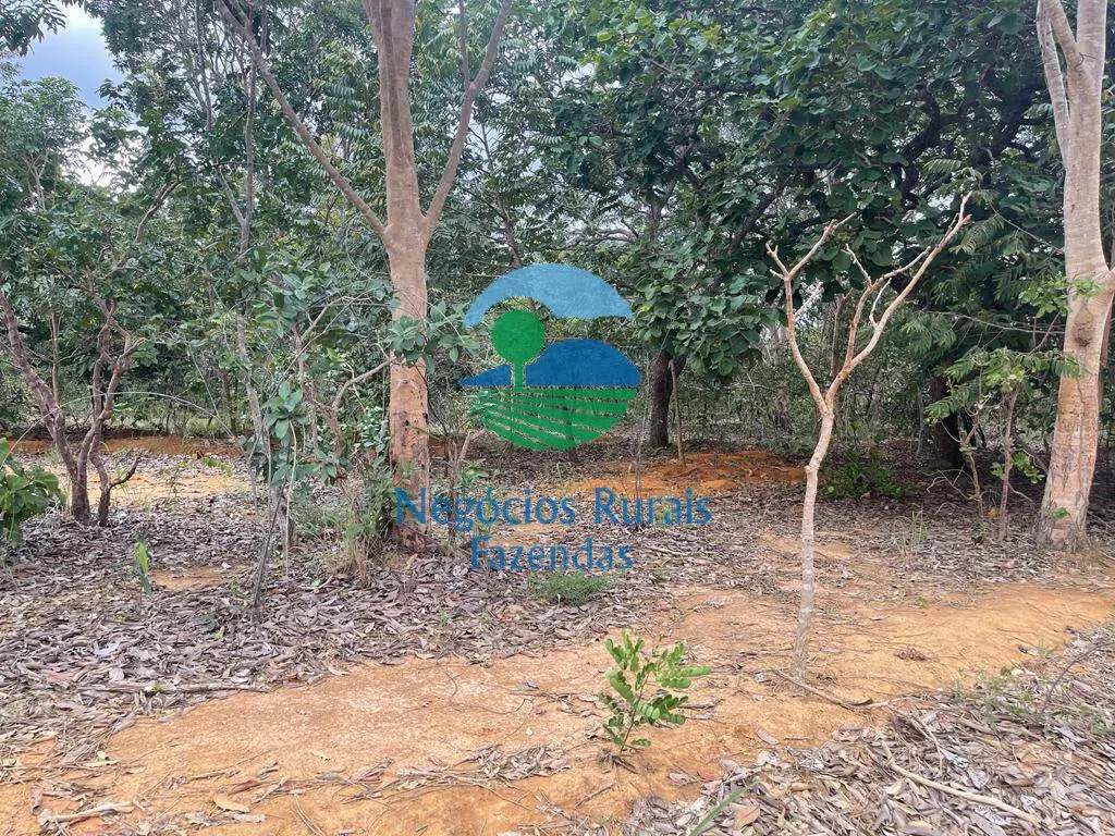 Fazenda à venda de 208 ha em Uruaçu, GO, Brasil