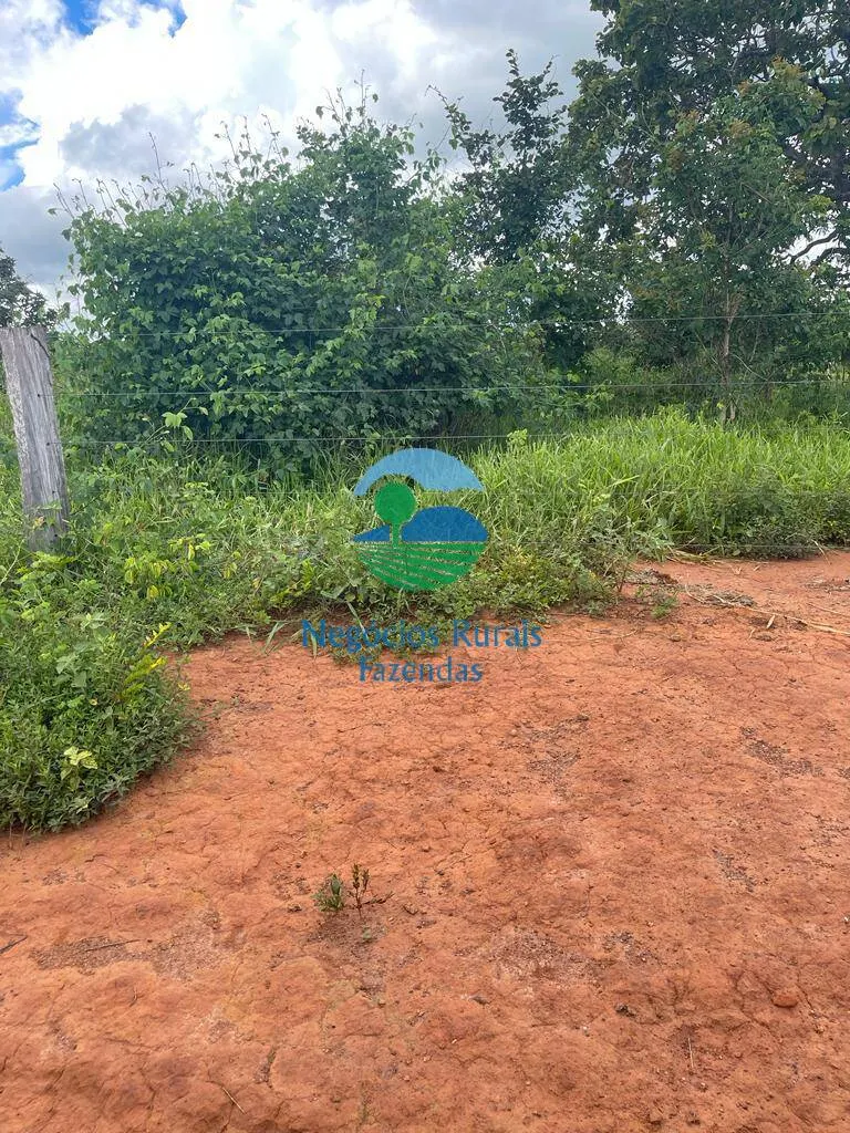 Fazenda à venda de 208 ha em Uruaçu, GO, Brasil