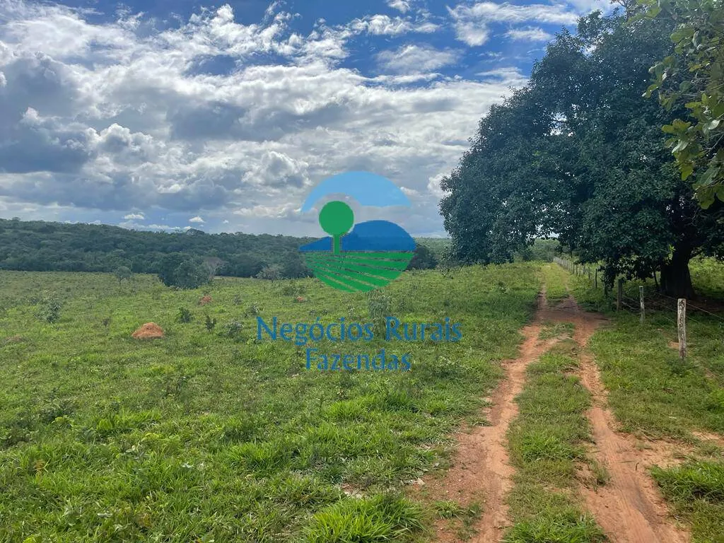 Fazenda à venda de 208 ha em Uruaçu, GO, Brasil