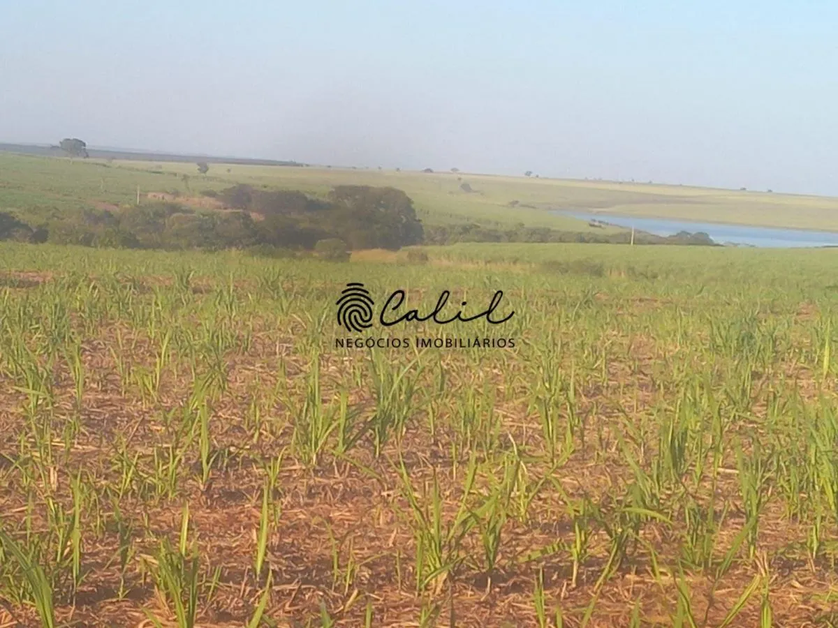 Fazenda à venda de 464 ha em Presidente Venceslau, SP, Brasil