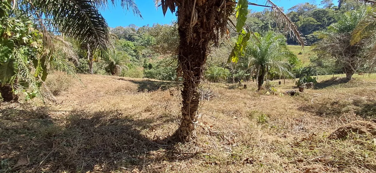 Chácara à venda de 2 ha em Chapada dos Guimarães, MT, Brasil