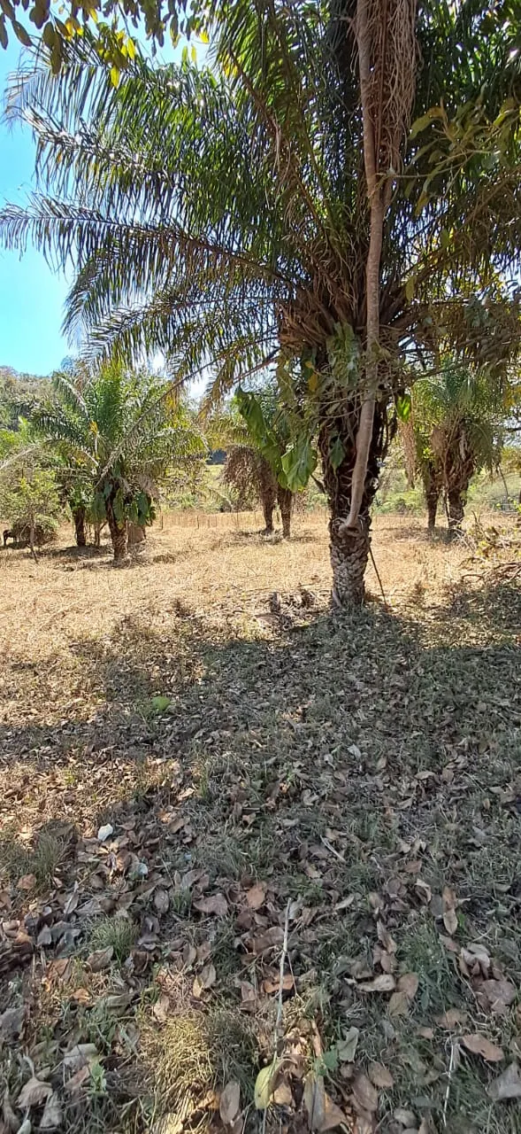 Chácara à venda de 2 ha em Chapada dos Guimarães, MT, Brasil