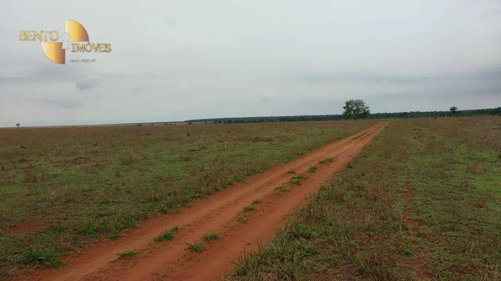 Farm for sale of 22,239 acres in Paranatinga, MT, Brazil