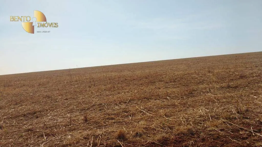 Farm for sale of 22,239 acres in Paranatinga, MT, Brazil