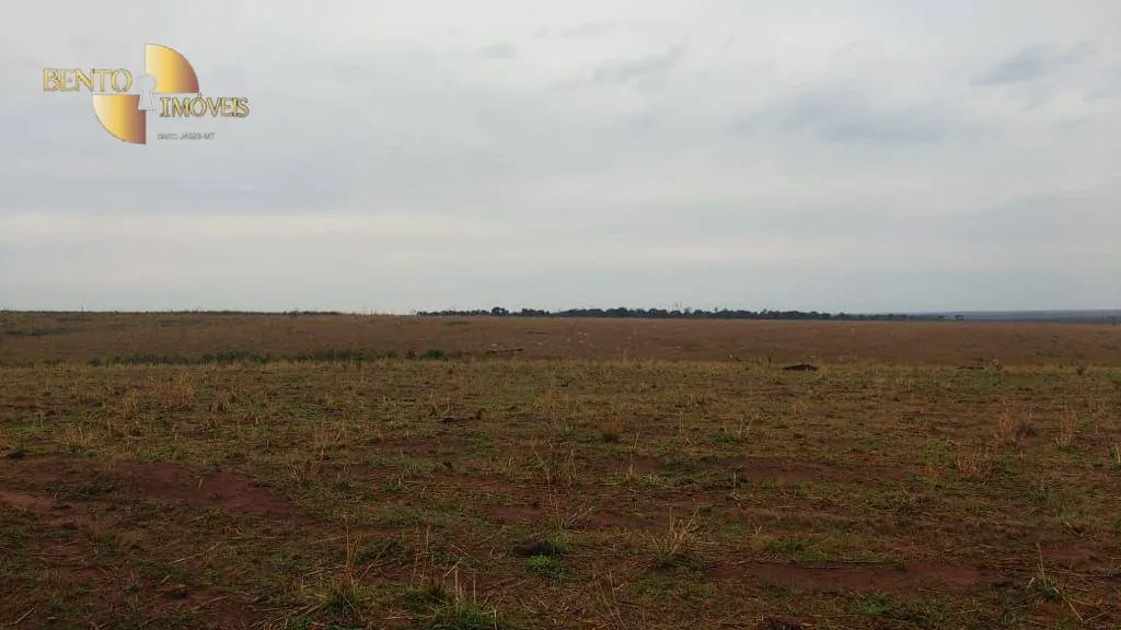 Farm for sale of 22,239 acres in Paranatinga, MT, Brazil