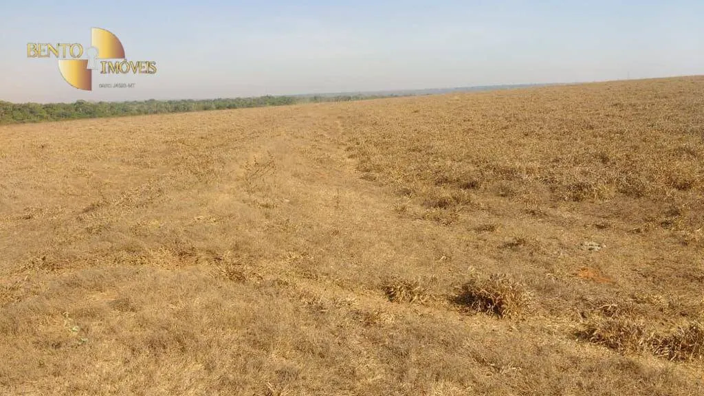 Farm for sale of 22,239 acres in Paranatinga, MT, Brazil