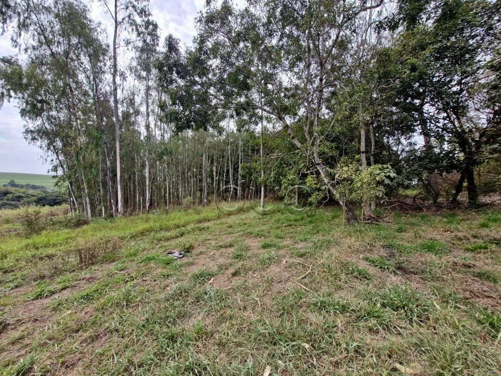 Small farm for sale of 35 acres in Piracicaba, SP, Brazil