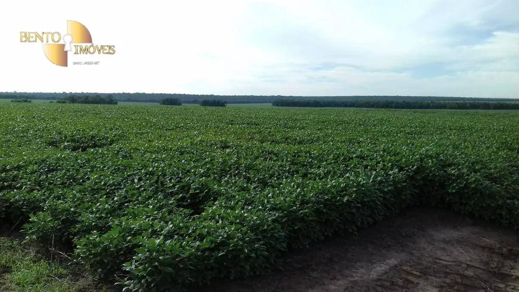 Farm for sale of 10,082 acres in Ribeirão Cascalheira, MT, Brazil