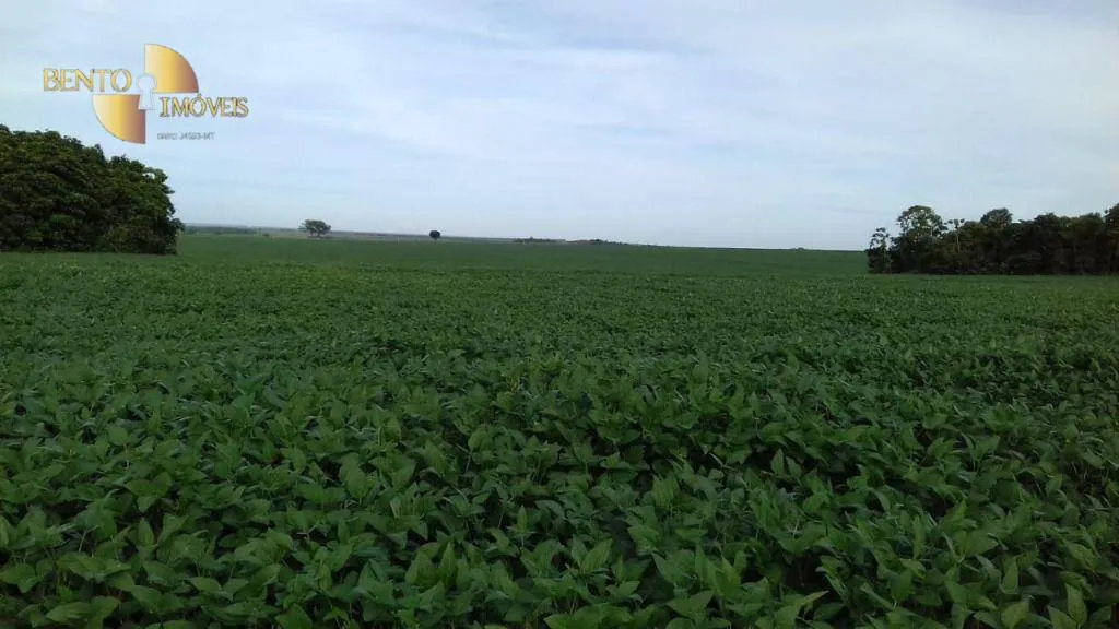 Farm for sale of 10,082 acres in Ribeirão Cascalheira, MT, Brazil