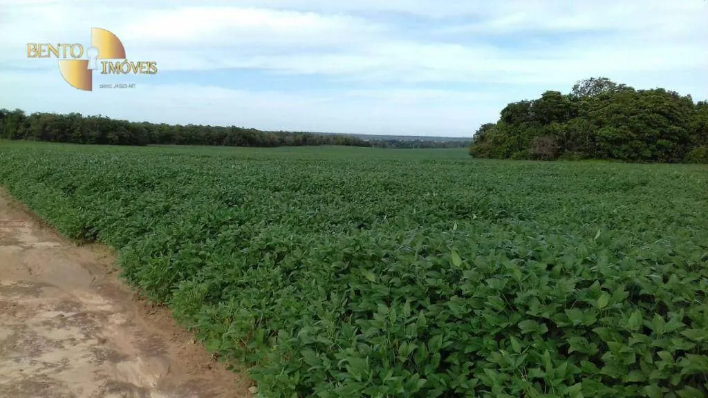 Farm for sale of 10,082 acres in Ribeirão Cascalheira, MT, Brazil