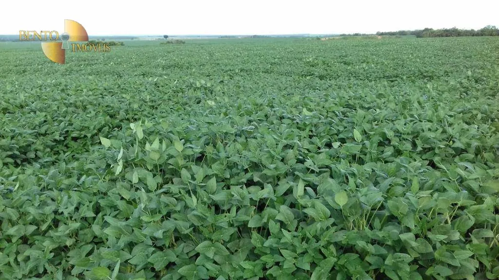 Farm for sale of 10,082 acres in Ribeirão Cascalheira, MT, Brazil