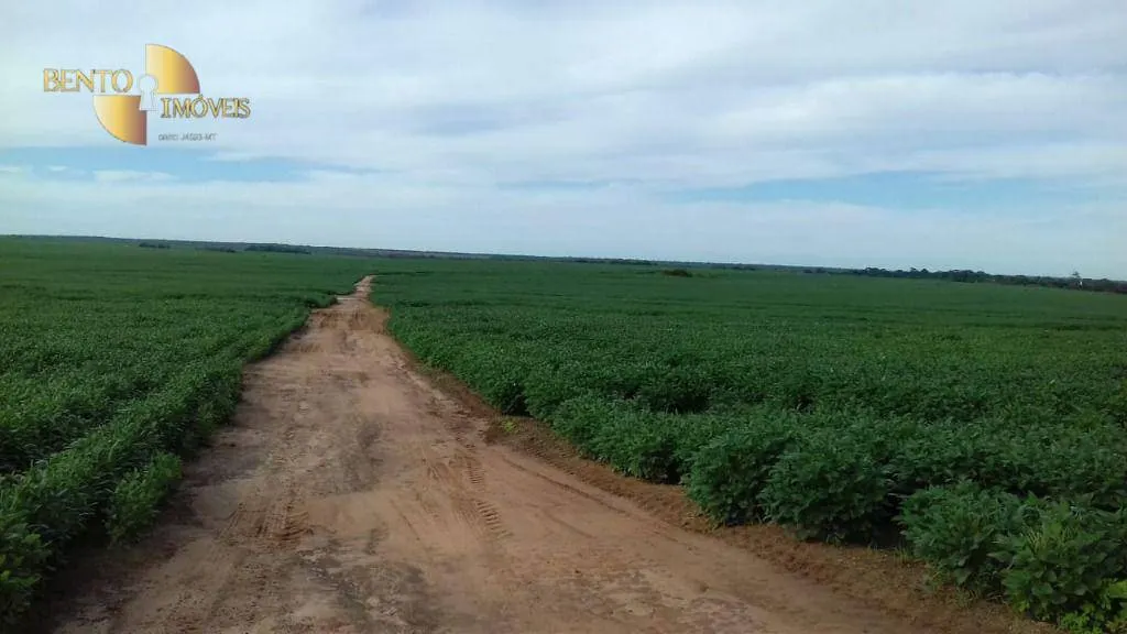 Farm for sale of 10,082 acres in Ribeirão Cascalheira, MT, Brazil