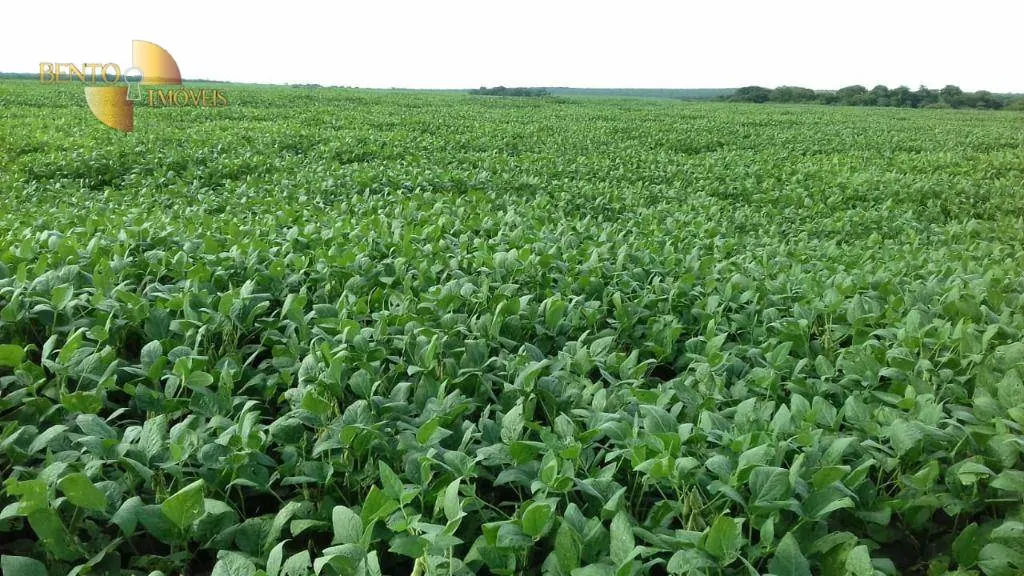 Farm for sale of 10,082 acres in Ribeirão Cascalheira, MT, Brazil