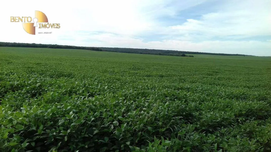 Farm for sale of 10,082 acres in Ribeirão Cascalheira, MT, Brazil