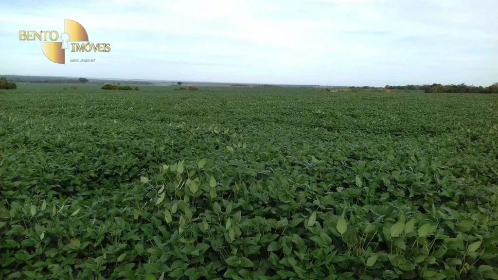 Farm for sale of 10,082 acres in Ribeirão Cascalheira, MT, Brazil