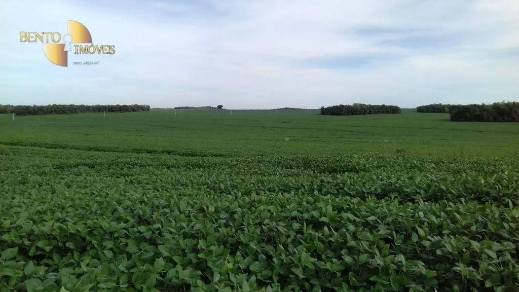 Farm for sale of 10,082 acres in Ribeirão Cascalheira, MT, Brazil