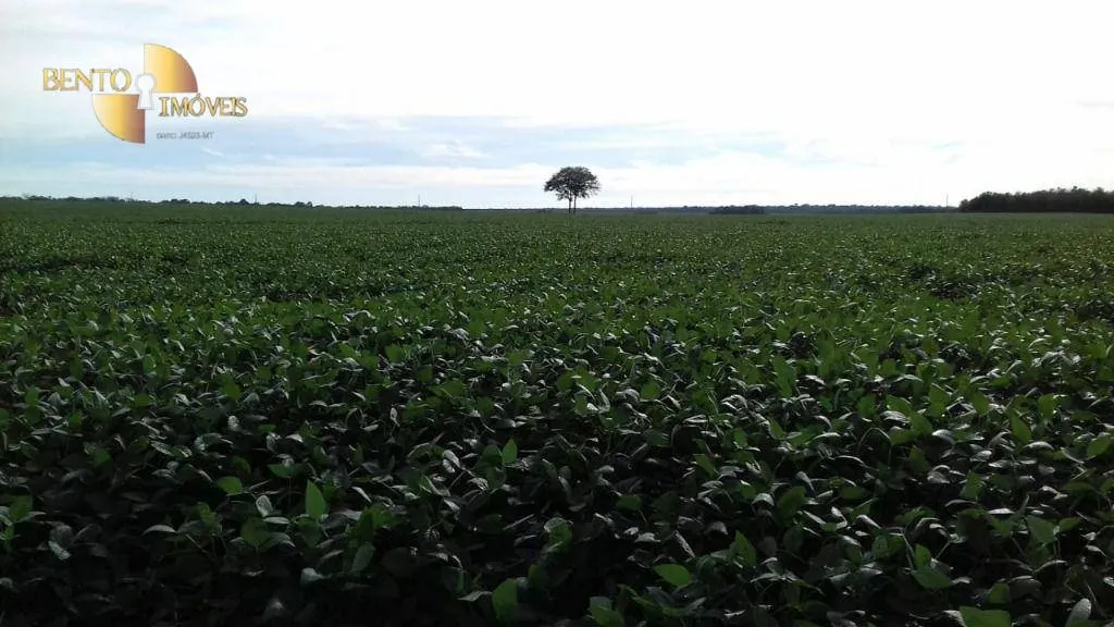 Farm for sale of 10,082 acres in Ribeirão Cascalheira, MT, Brazil