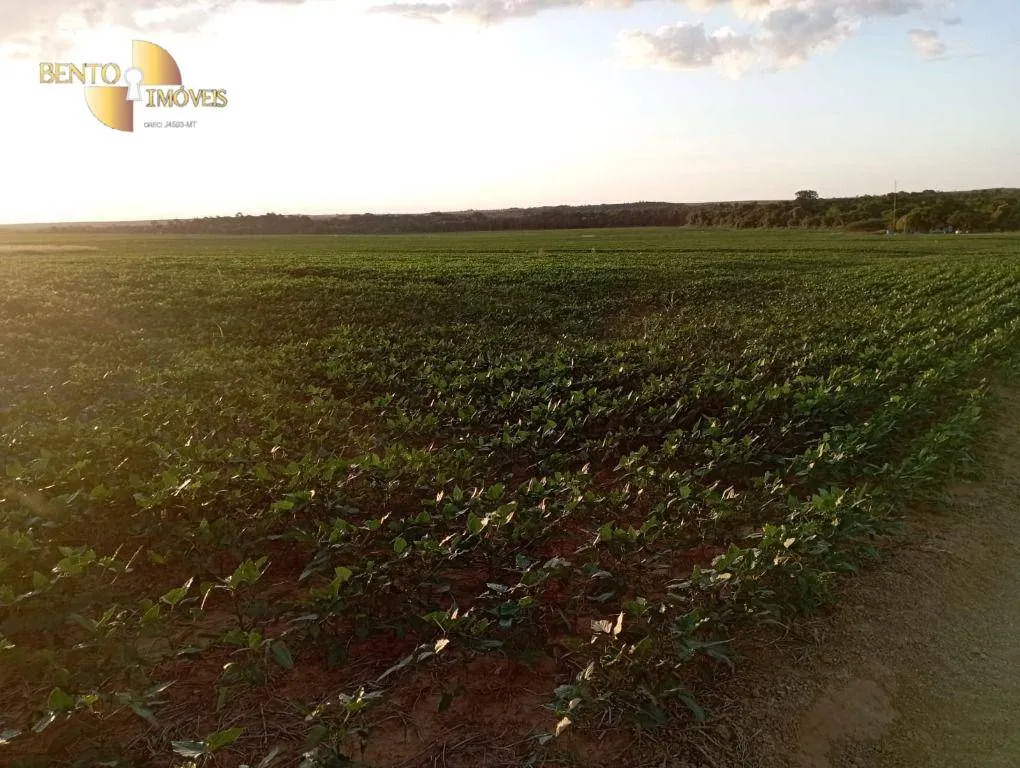 Farm for sale of 10,082 acres in Ribeirão Cascalheira, MT, Brazil