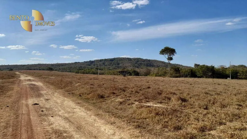 Farm for sale of 10,082 acres in Ribeirão Cascalheira, MT, Brazil