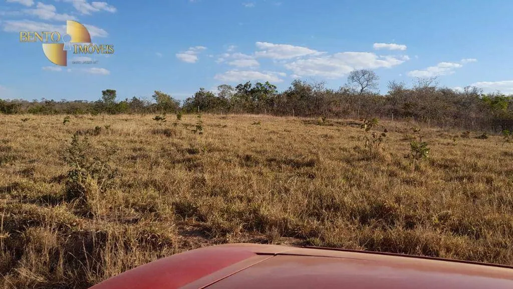 Farm for sale of 10,082 acres in Ribeirão Cascalheira, MT, Brazil