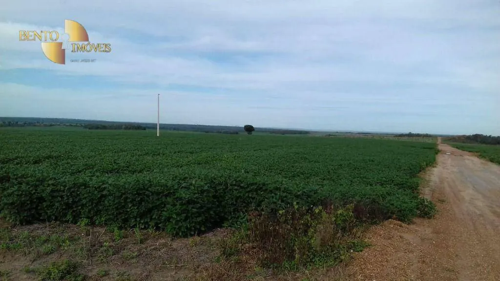 Farm for sale of 10,082 acres in Ribeirão Cascalheira, MT, Brazil