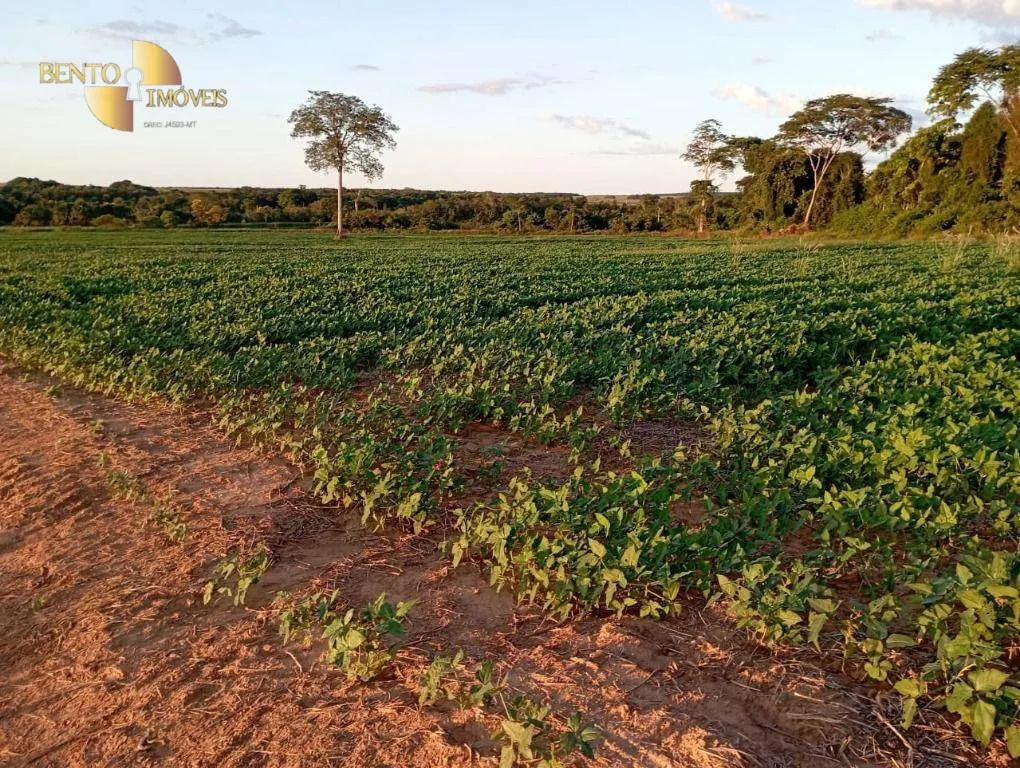 Farm for sale of 10,082 acres in Ribeirão Cascalheira, MT, Brazil
