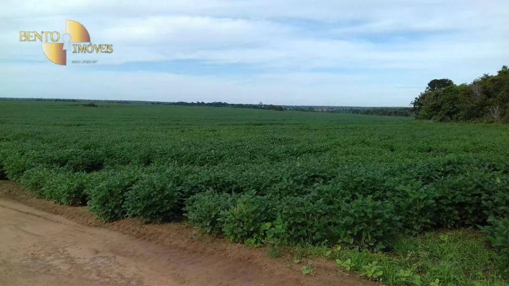 Farm for sale of 10,082 acres in Ribeirão Cascalheira, MT, Brazil