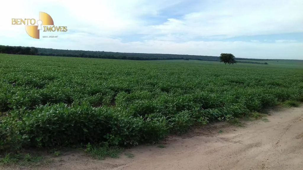Farm for sale of 10,082 acres in Ribeirão Cascalheira, MT, Brazil
