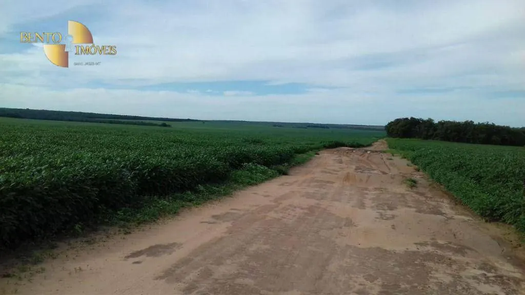 Farm for sale of 10,082 acres in Ribeirão Cascalheira, MT, Brazil
