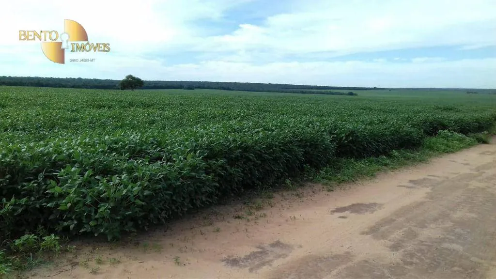 Farm for sale of 10,082 acres in Ribeirão Cascalheira, MT, Brazil